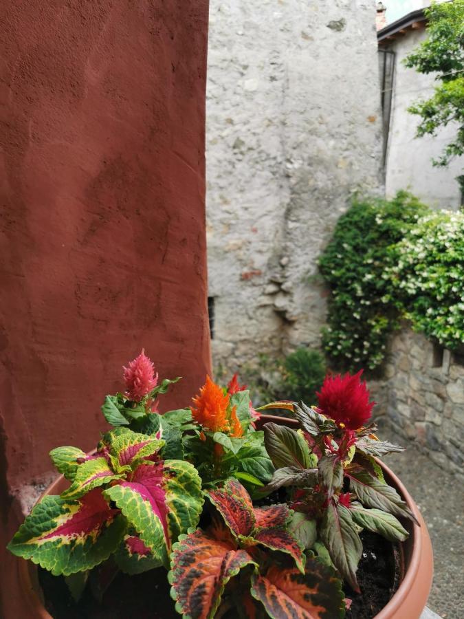 Alla Torre Del Barbarossa B&B Foresteria Mandello del Lario Εξωτερικό φωτογραφία